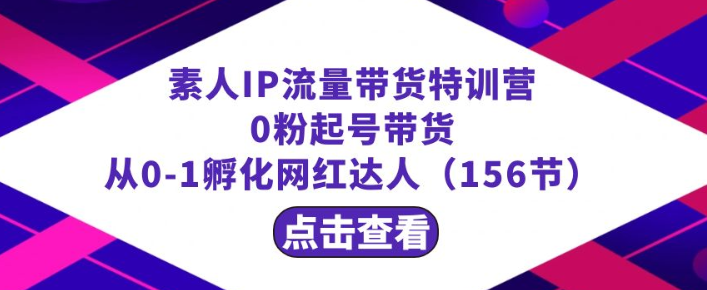 繁星计划素人IP流量带货特训营 0粉起号带货 从0-1孵化网红达人（156节）-虚拟资源库