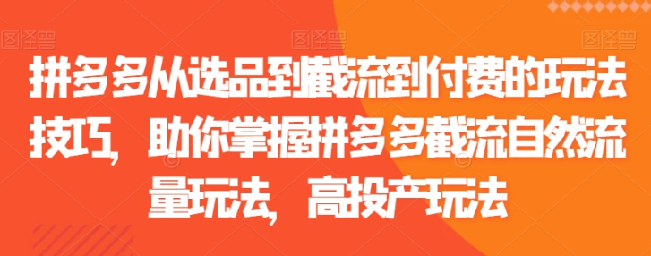 拼多多从选品到截流到付费的玩法技巧 助你掌握拼多多截流自然流量玩法 高投产玩法-虚拟资源库