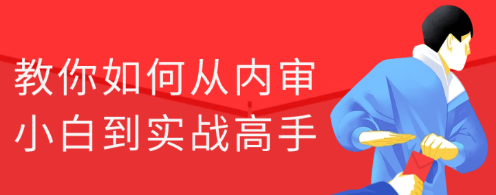 教你如何从内审小白到实战高手-虚拟资源库