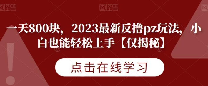 一天800块，2023最新反撸pz玩法，小白也能轻松上手【仅揭秘】-虚拟资源库