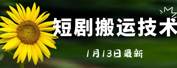 最新短剧搬运技术 电脑手机都可以操作 不限制机型-虚拟资源库