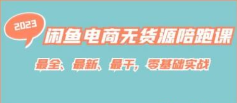 闲鱼电商无货源陪跑课，最全、最新、最干，零基础实战-虚拟资源库