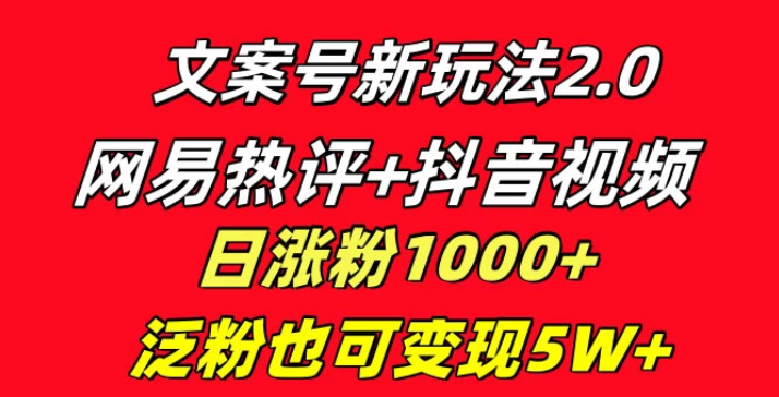 文案号新玩法 网易热评+抖音文案 一周轻松涨粉5W+ 多种变现模式-虚拟资源库