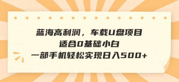 蓝海高利润，车载 U 盘项目，适合 0 基础小白-虚拟资源库