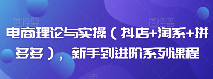 电商理论与实操（抖店+淘系+拼多多） 新手到进阶系列课程-虚拟资源库