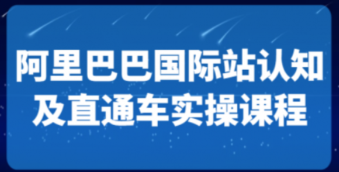 [淘系电商]阿里巴巴国际站认知及直通车实操课 – 国际地产逻辑、国际站运营定位、TOP商家运营思路-虚拟资源库