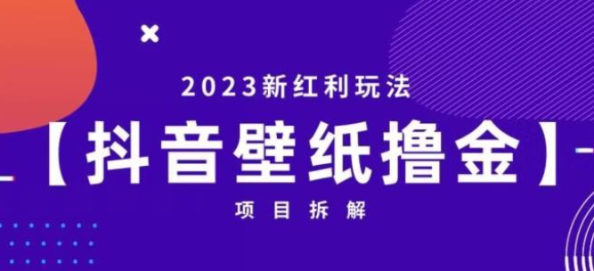 2023抖音壁纸小程序创作者撸金项目，2023新红利玩法【项目拆解】-虚拟资源库