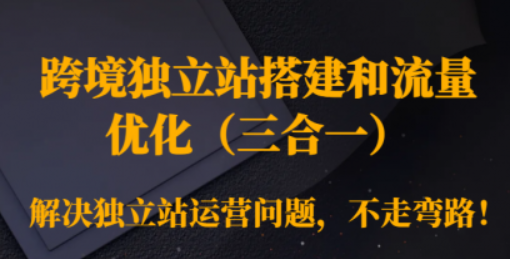 [跨境电商]跨境独立站搭建和流量优化（三合一）解决独立站运营问题 不走弯路！-虚拟资源库