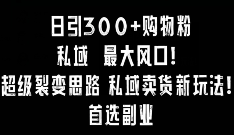 日引300+购物粉 超级裂变思路 私域卖货新玩法 小红书首选副业【揭秘】-虚拟资源库