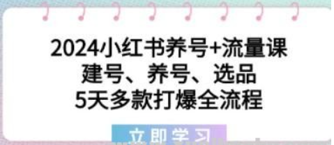 2024小红书养号+流量课：建号、养号、选品，5天多款打爆全流程-虚拟资源库