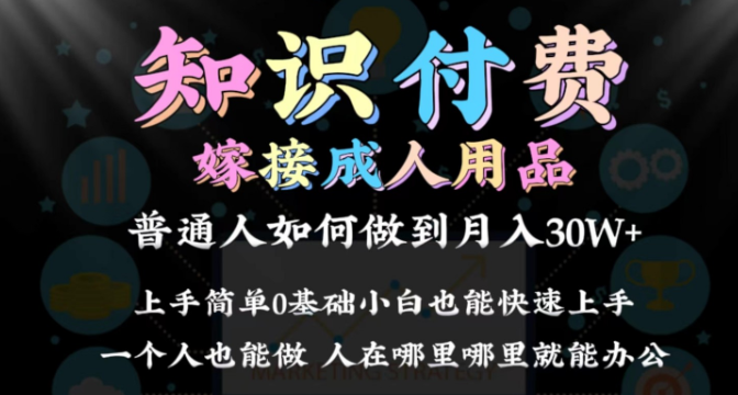 2024普通人做知识付费 结合成人用品如何实现单月变现30w 保姆教学1.0-虚拟资源库