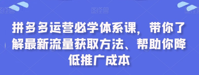 拼多多运营必学体系课流量获取方法-虚拟资源库