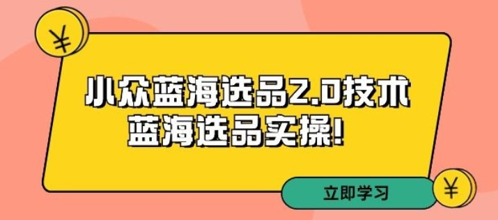 拼多多培训第33期：小众蓝海选品2.0技术 蓝海选品实操-虚拟资源库