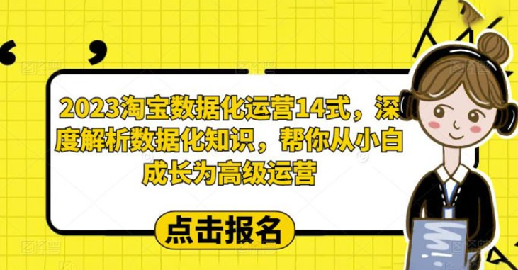 2023 淘宝数据化运营 14 式：深度解析数据化知识，帮你从小白成长为高级运营-虚拟资源库