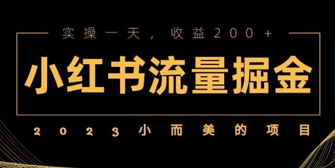 2023小而美的项目，小红书流量掘金，实操一天，收益200+揭秘-虚拟资源库