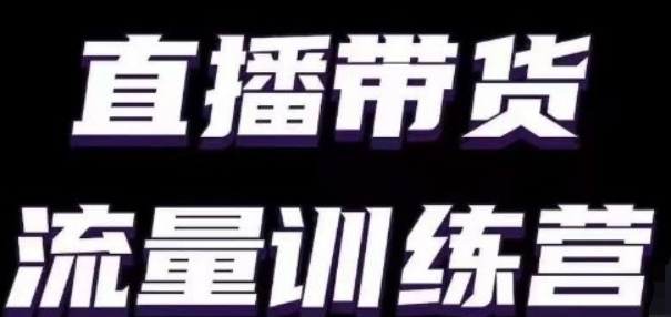 直播带货流量训练营 小白主播必学直播课-虚拟资源库