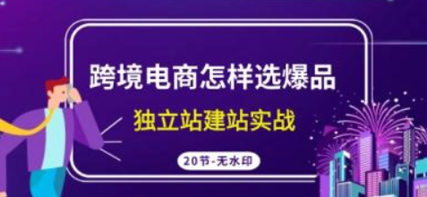 跨境电商怎样选爆品 独立站建站实战课程（20节高清课）-虚拟资源库