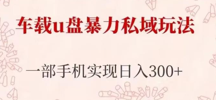 2023车载u盘暴力私域玩法，长期项目，仅需一部手机实现日入300+-虚拟资源库