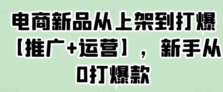 电商新品从上架到打爆【推广+运营】 新手从0打爆款-虚拟资源库