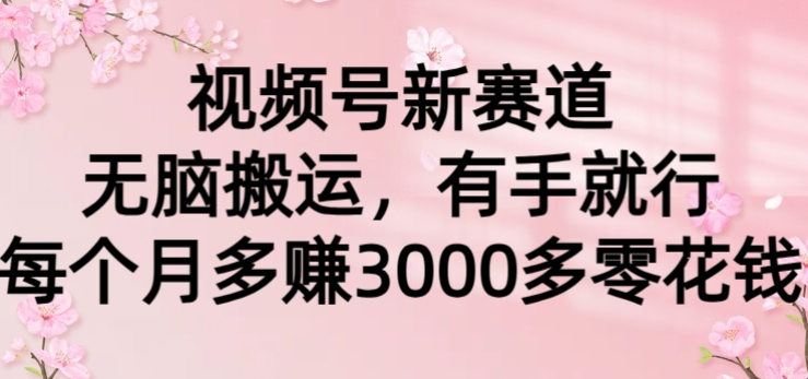 视频号新赛道 无脑搬运 有手就行 每个月多赚3000多零花钱-虚拟资源库