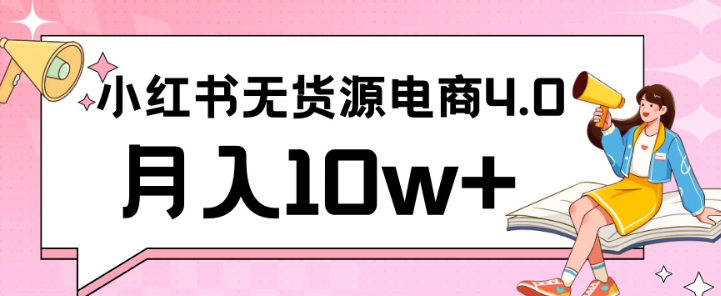 小红书新电商实战 无货源实操从0到1月入10w+ 联合抖音放大收益-虚拟资源库