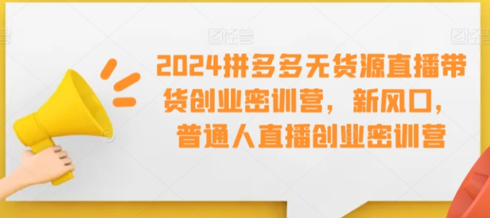 拼多多无货源直播带货创业密训营 新风口 普通人直播创业密训营-虚拟资源库