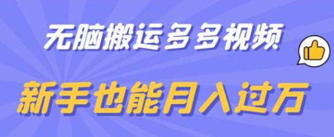 2023无脑搬运多多视频，新手也能月入过万【揭秘】-虚拟资源库