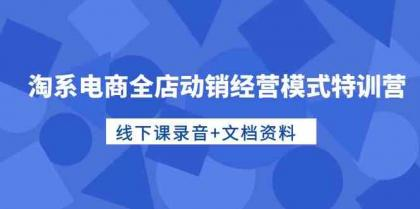 淘系电商全店动销经营模式特训营 线下课录音+文档资料-虚拟资源库