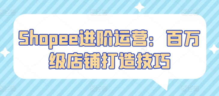 Shopee进阶运营 百万级店铺打造技巧-虚拟资源库