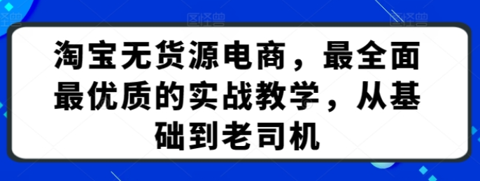 淘宝无货源电商 最全面最优质的实战教学 从基础到老司机-虚拟资源库