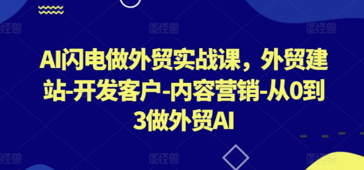 【外贸实战】AI闪电做外贸实战课，外贸建站-开发客户-内容营销-从0到3做外贸AI-虚拟资源库