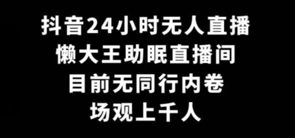 抖音24小时无人直播 懒大王助眠直播间 目前无同行内卷 场观上千人-虚拟资源库