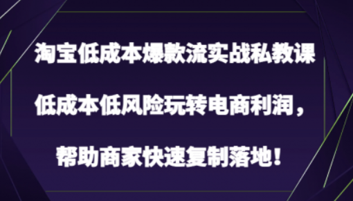 淘宝低成本爆款流实战私教课 低成本低风险玩转电商利润 帮助商家快速复制落地-虚拟资源库