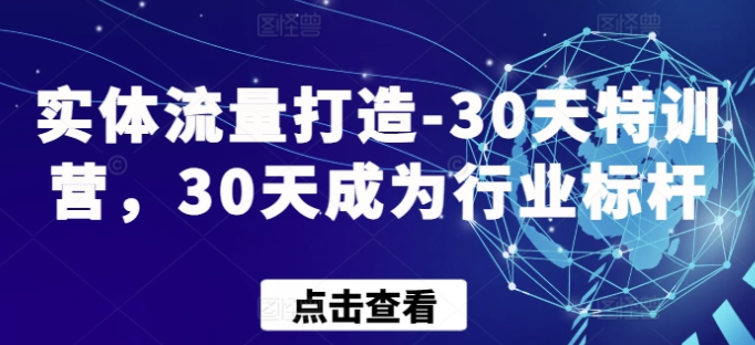 实体流量打造-30天特训营 30天成为行业标杆-虚拟资源库