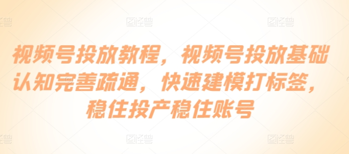 视频号投放教程 视频号投放基础认知完善疏通 快速建模打标签 稳住投产稳住账号-虚拟资源库