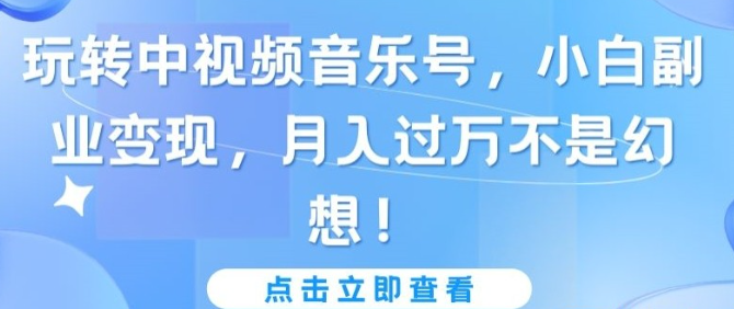 【中视频音乐号】玩转中视频音乐号，小白副业变现，月入过万不是幻想【揭秘】-虚拟资源库