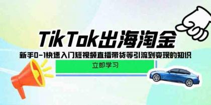 TikTok出海淘金，新手0-1快速入门短视频直播带货等引流到变现的知识-虚拟资源库