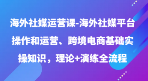 海外社媒运营课 海外社媒平台操作和运营、跨境电商基础实操知识 理论+演练全流程-虚拟资源库