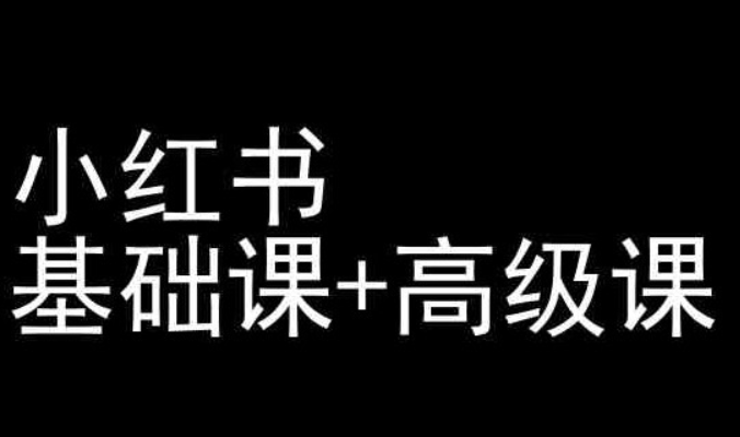 【小红书运营】小红书运营教程-小红书基础课+高级课-虚拟资源库