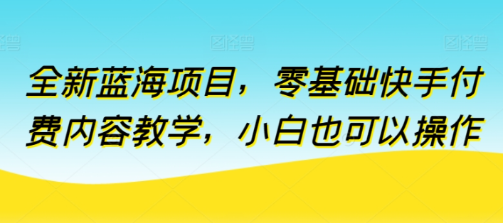 全新蓝海项目小白零基础快手付费内容教学-虚拟资源库