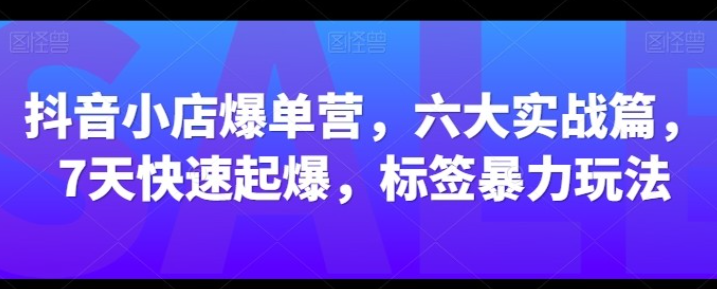 抖音小店爆单营六大实战篇7天快速起爆-虚拟资源库