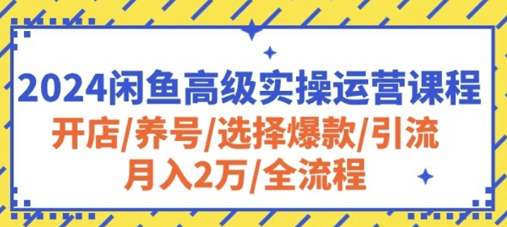 闲鱼高级实操运营课程 开店/养号/选择爆款/引流/月入2万/全流程-虚拟资源库