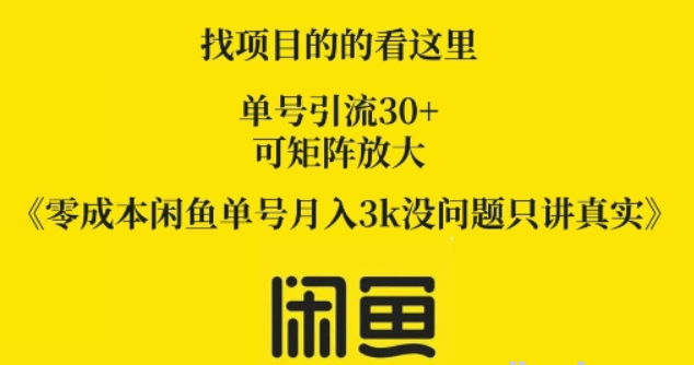 零成本闲鱼单号月入3k没问题只讲真实-虚拟资源库