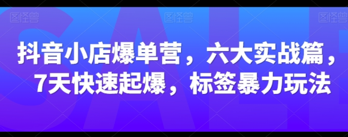 抖音小店爆单营 六大实战篇 7天快速起爆 标签暴力玩法-虚拟资源库