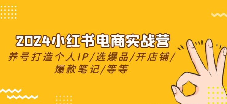 2024小红书电商实战营，养号打造IP/选爆品/开店铺/爆款笔记/等等（24节）-虚拟资源库