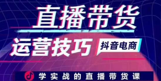 直播带货运营技巧 学实战的直播带货课-虚拟资源库