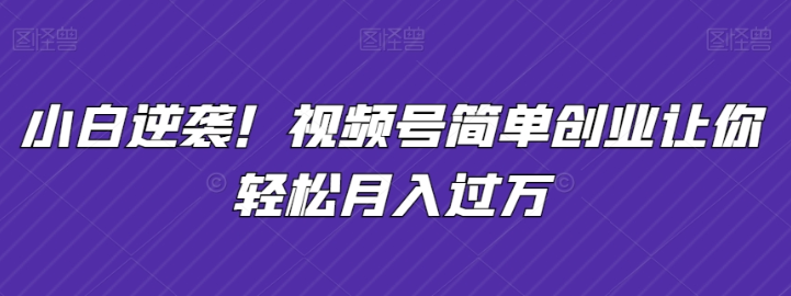 小白逆袭 视频号简单创业让你轻松月入过万-虚拟资源库