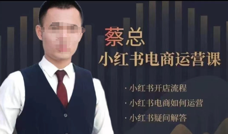 潮汕蔡总 小红书电商运营课电商如何运营-虚拟资源库