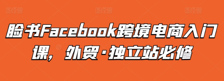 Facebook跨境电商入门课 外贸·独立站必修-虚拟资源库