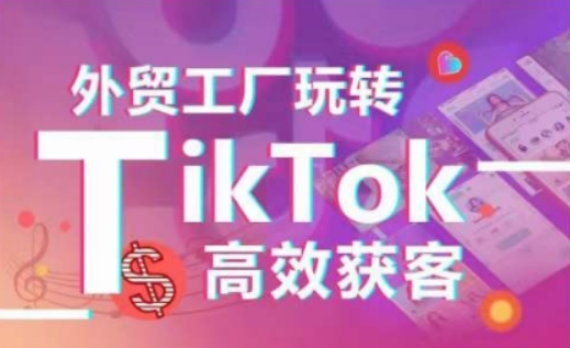 外贸工厂玩转TikTok高效获客 多种引流方式与账号定位技巧 拆解爆款短视频打造成功案例-虚拟资源库